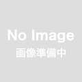Speed Way Pal      PE015	F-1用排気管セット(8 /2本入り)